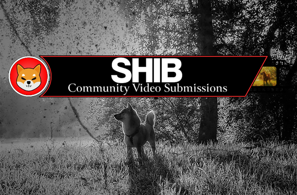 सामुदायिक वीडियो सबमिशन